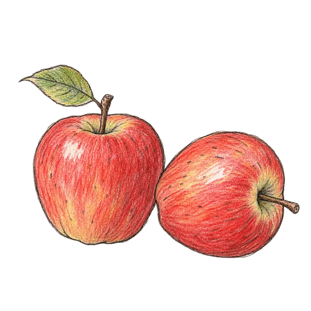 蘋果主題素描風卡通插圖