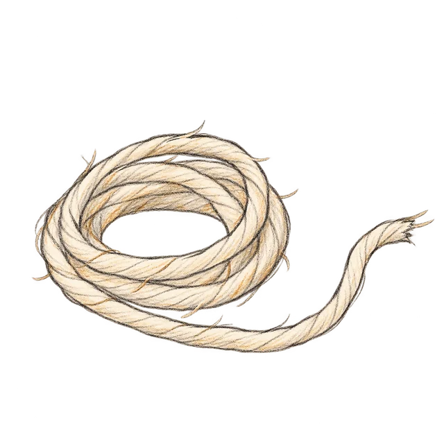結繩主題素描風卡通插圖