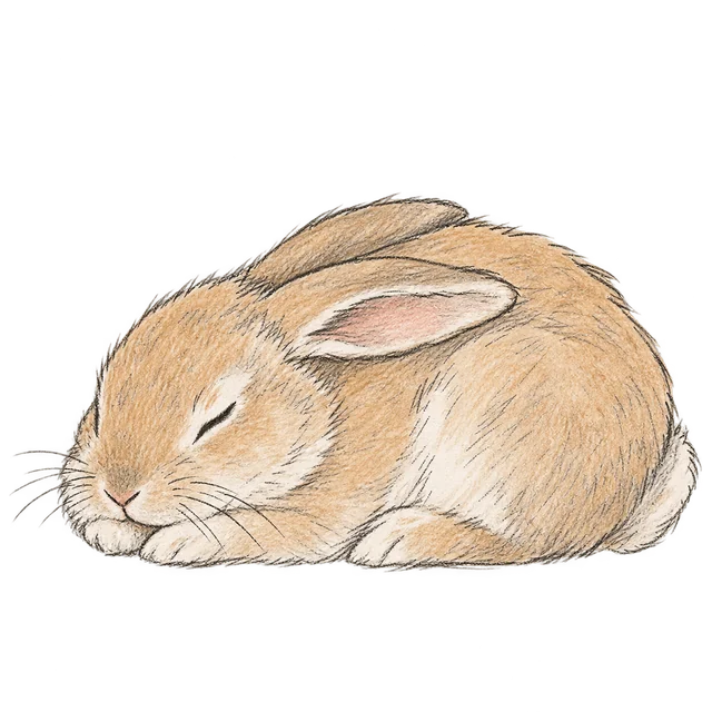 兔仔主題素描風卡通插圖