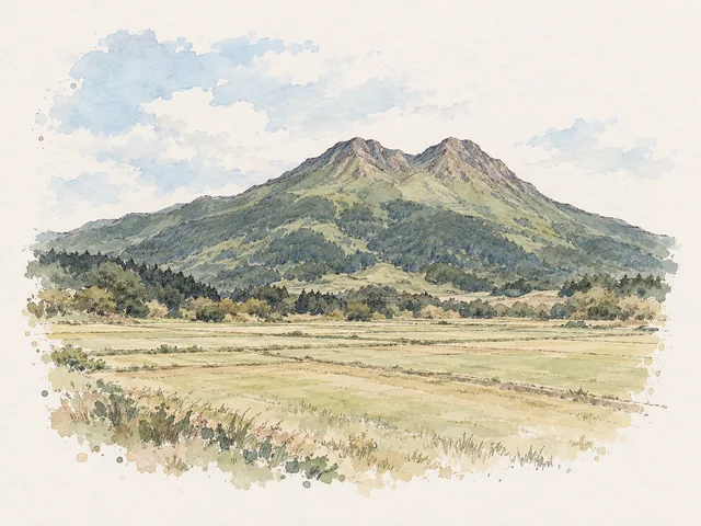 相連雙峰同綠色山坡企喺平坦田地後方，山腰有深色樹林。